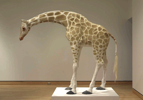 giraffe